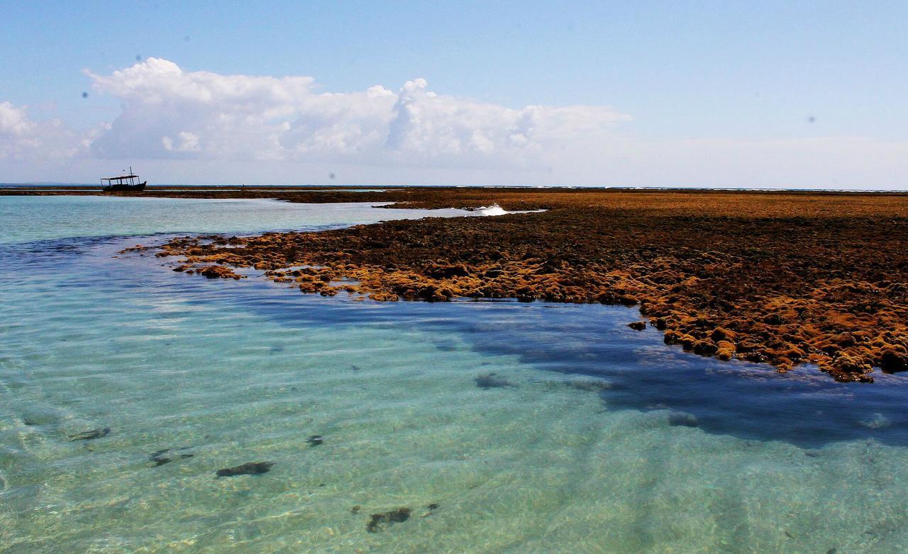 Pousada Casanossa Boipeba Island Экстерьер фото