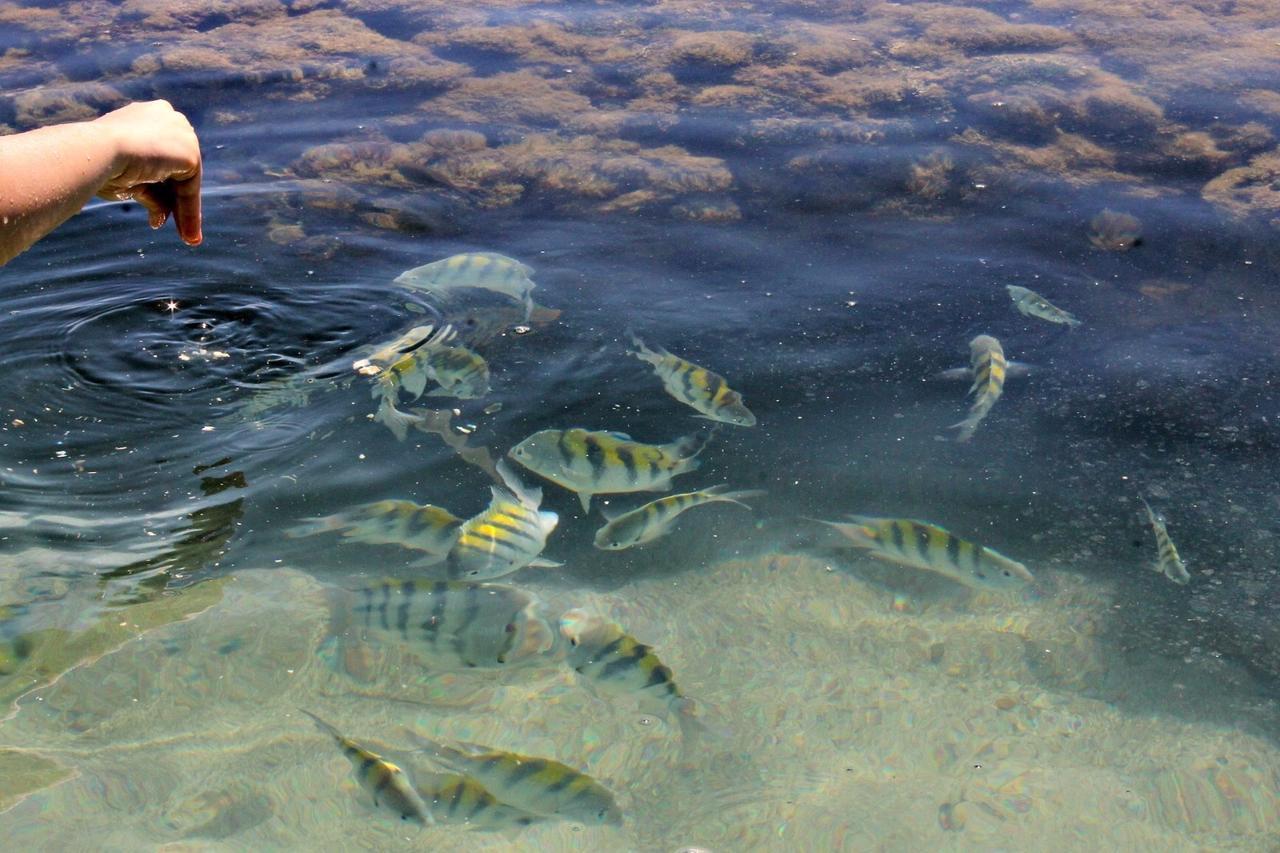 Pousada Casanossa Boipeba Island Экстерьер фото