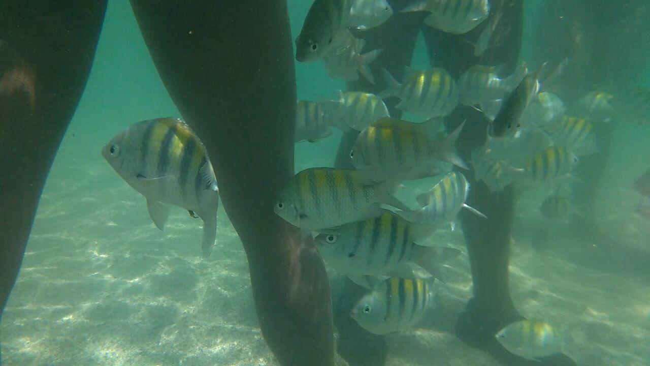 Pousada Casanossa Boipeba Island Экстерьер фото